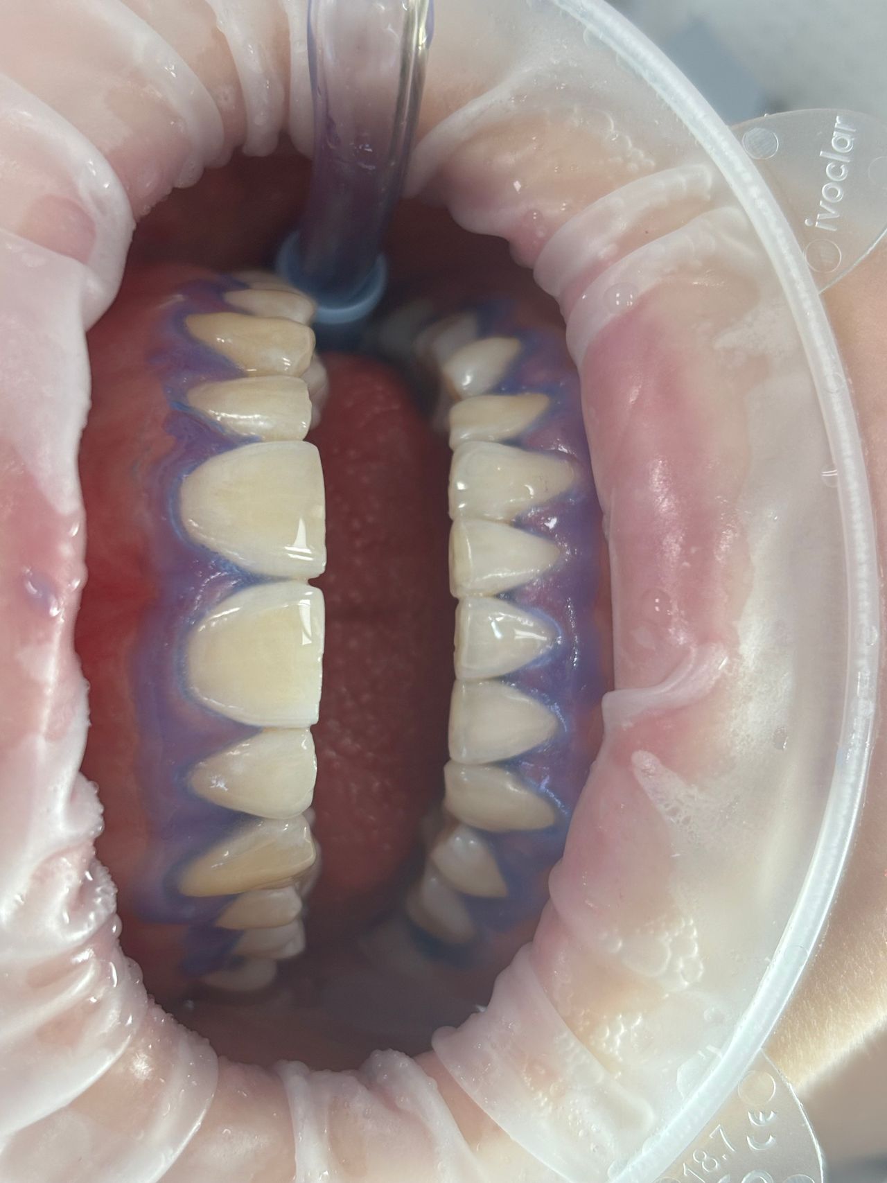 Natalia Skibińska-29