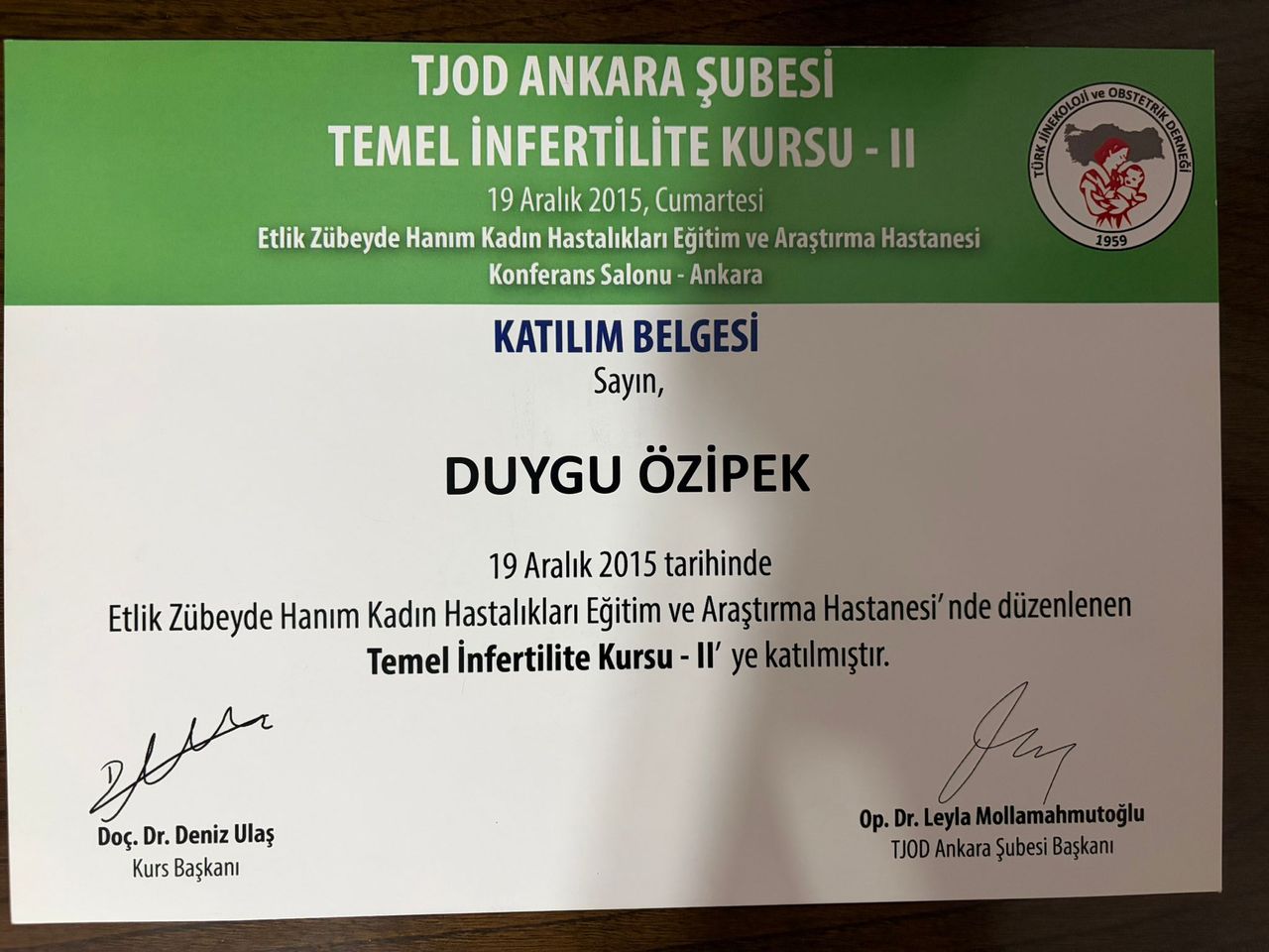 Seda Duygu Demirçelik-2