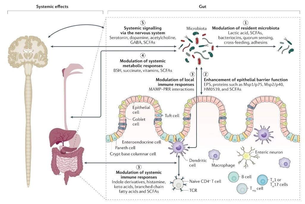 Enrique Echeverri Manlla-1