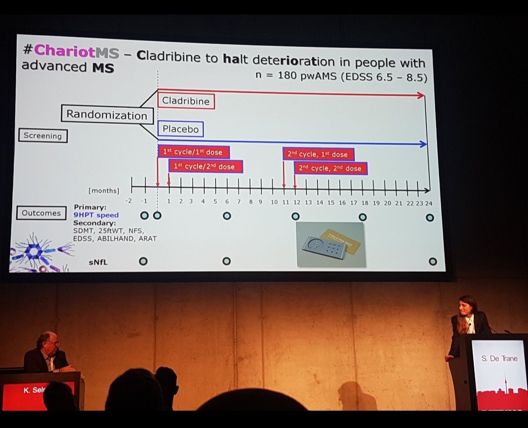 Stefania De Trane-10