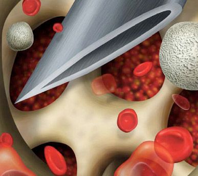 Josep Pous Barral-11