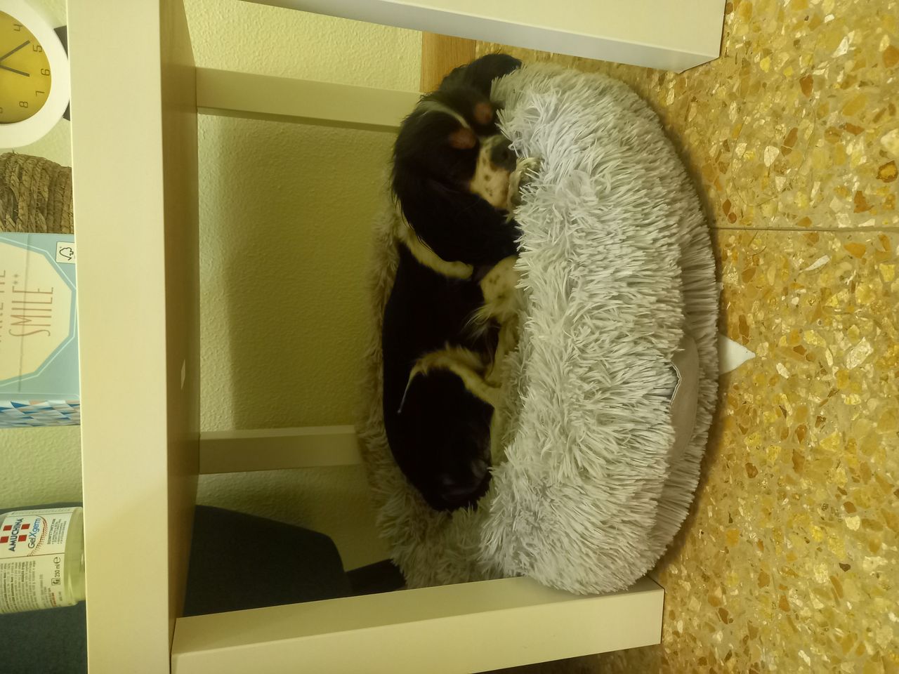 Alessia Lorenzetto-2