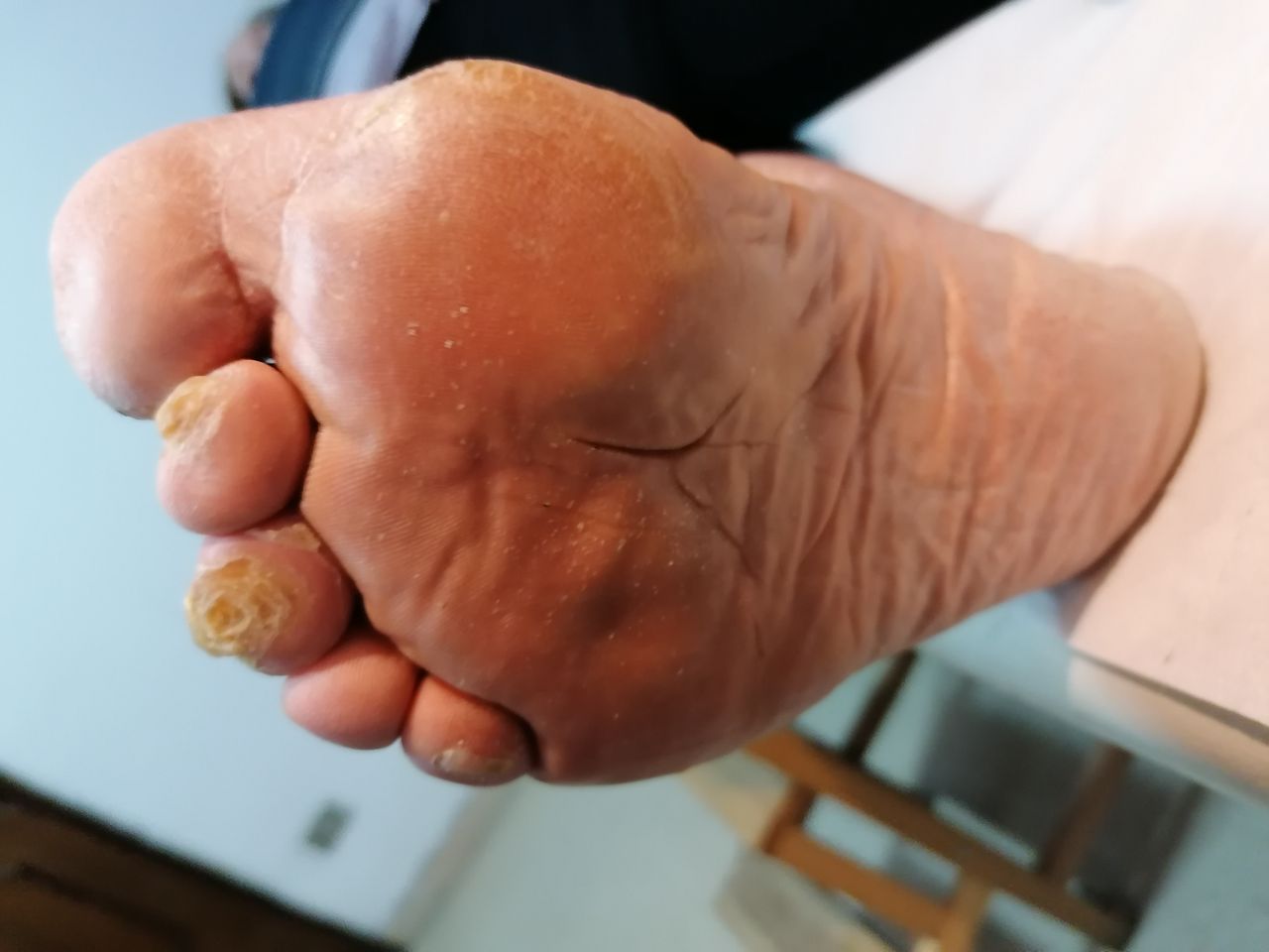 Kassandra Nicolosi-36