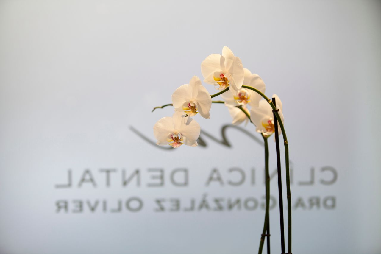 Marina Gonzalez Oliver-0