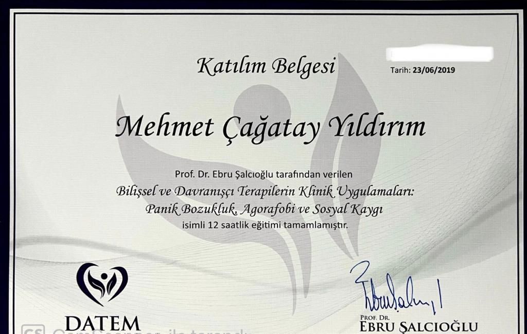 Çağatay Yıldırım-40