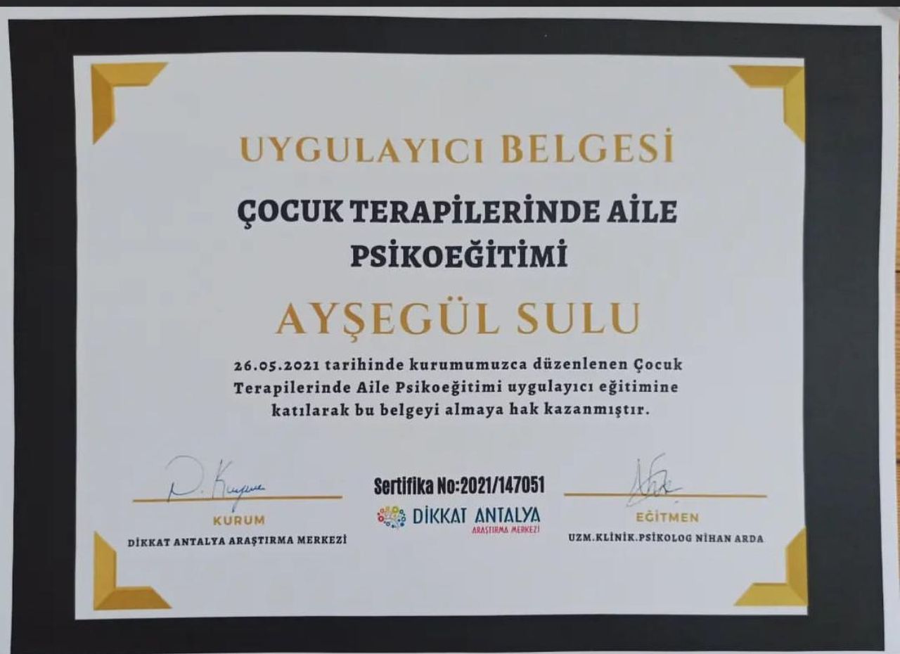 Ayşegül Sulu-12