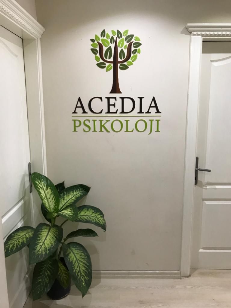 Mehmet Tahir Sonğur-0