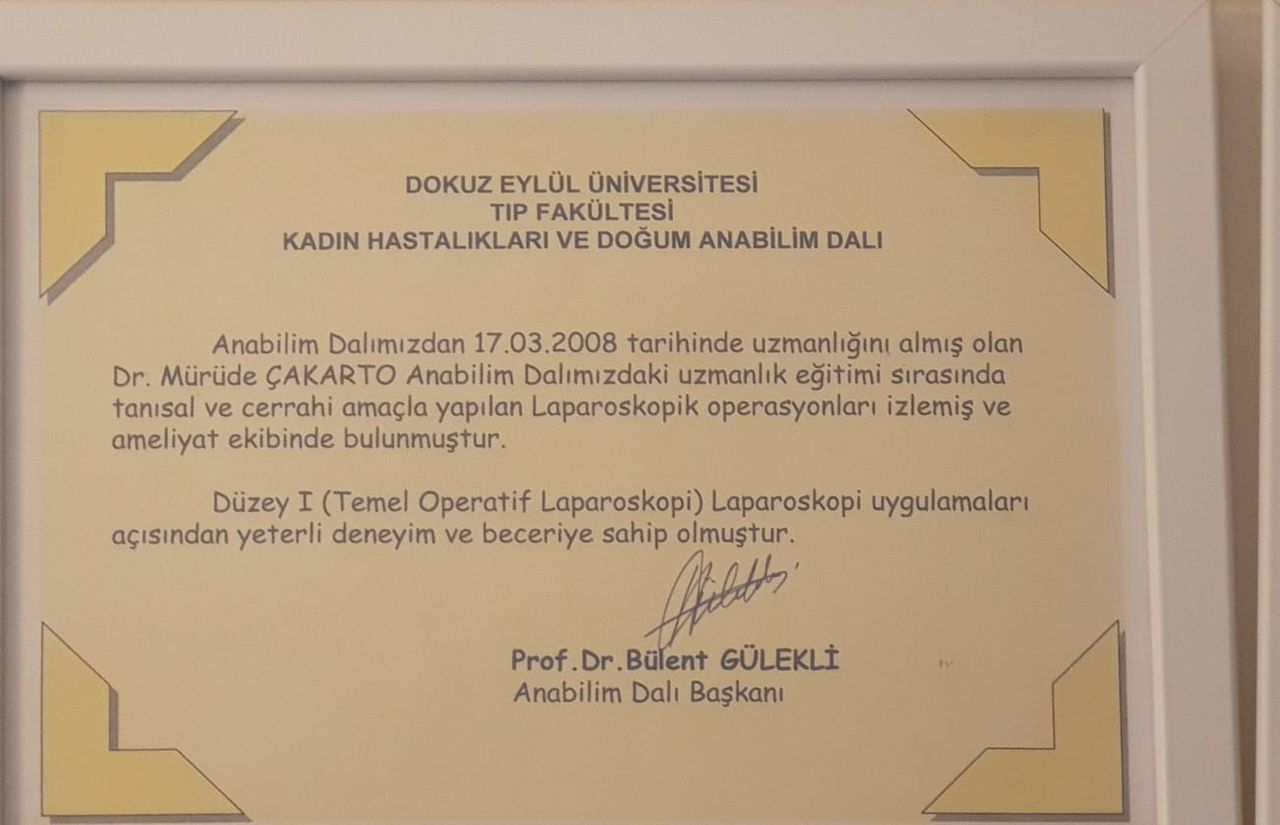 Mürüde Çakartaş Dağdelen-6