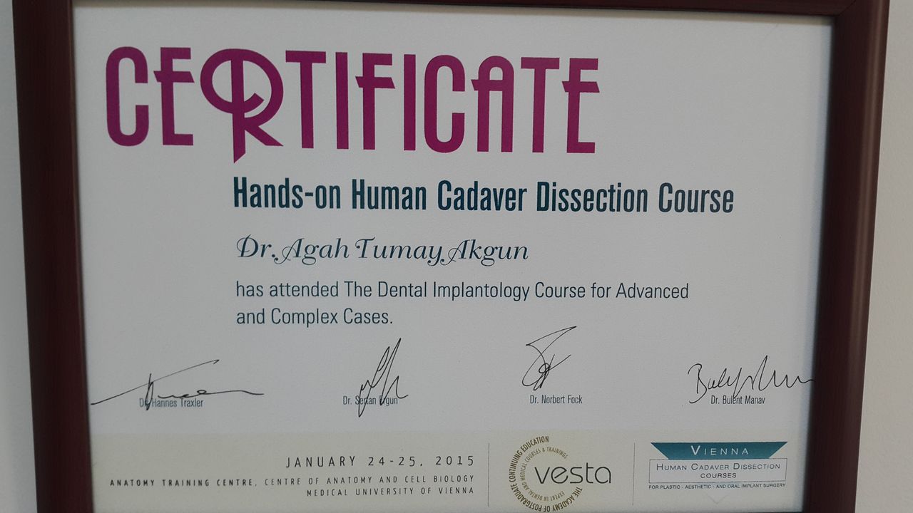 Agah Tümay Akgün-0