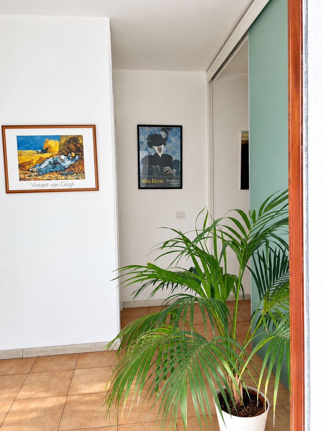 Micole Fabiani-3
