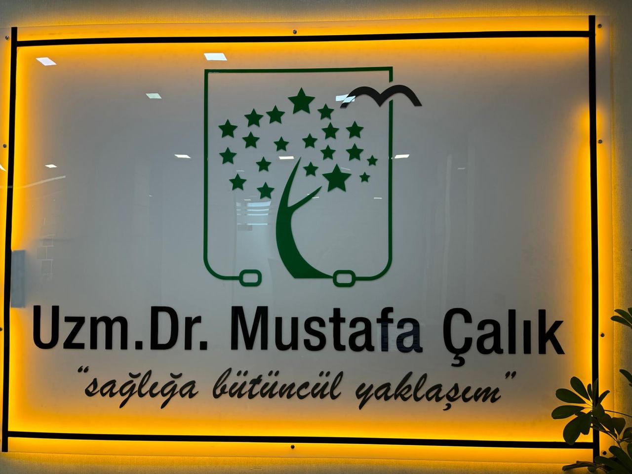 Mustafa Çalık-2