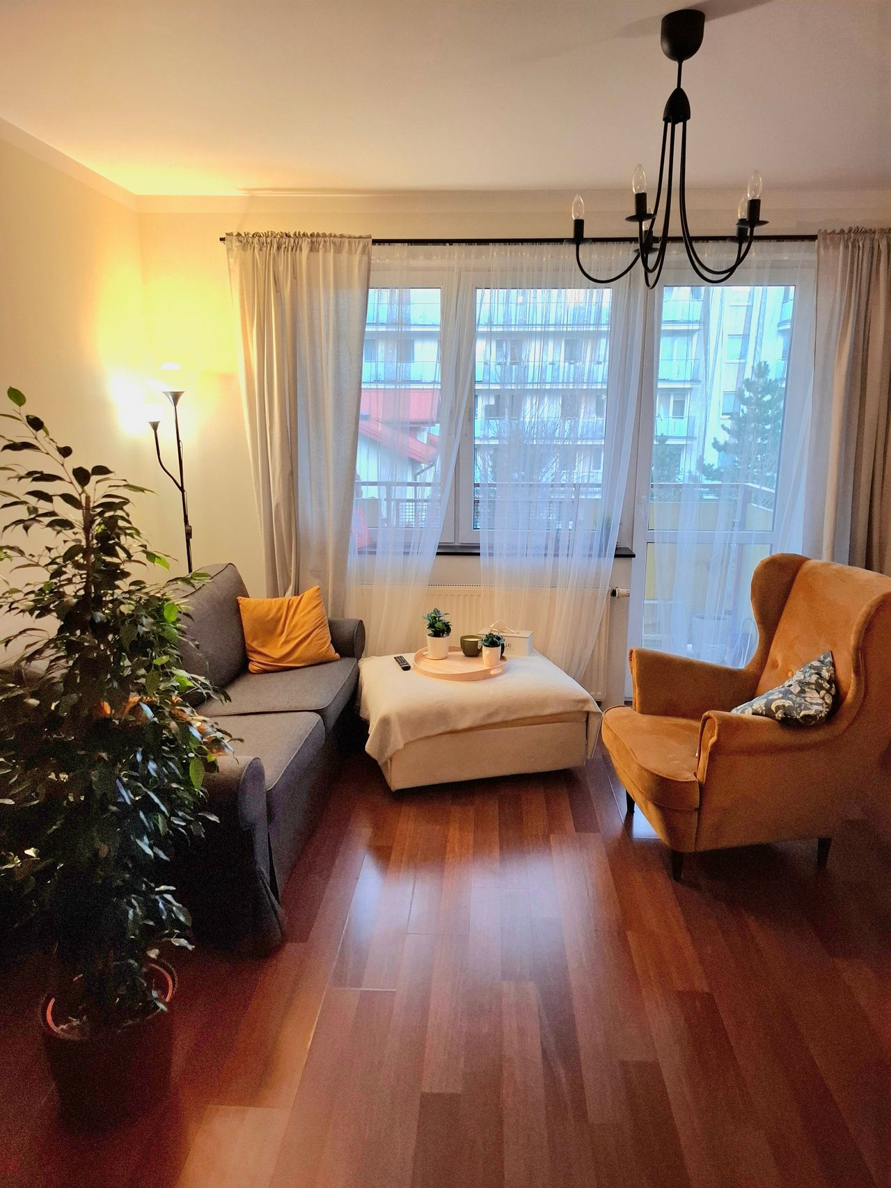 Monika Antoniewska-2