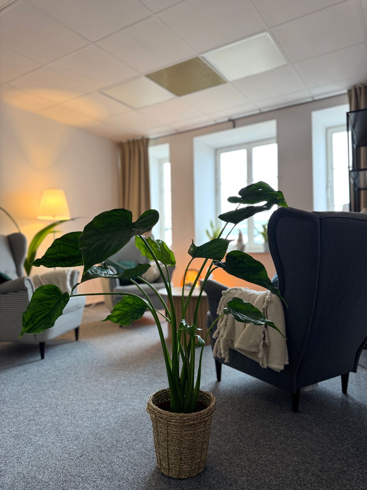 Aleksandra Nowosad-0