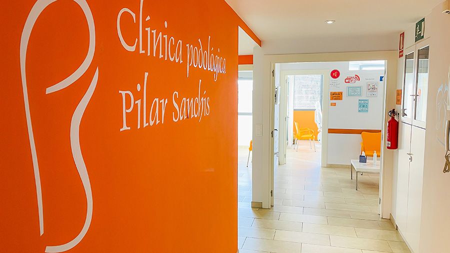 Pilar Sanchís Aguilar-1