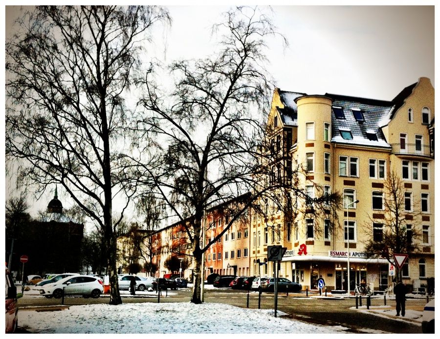 Alfred Darabaneanu-3