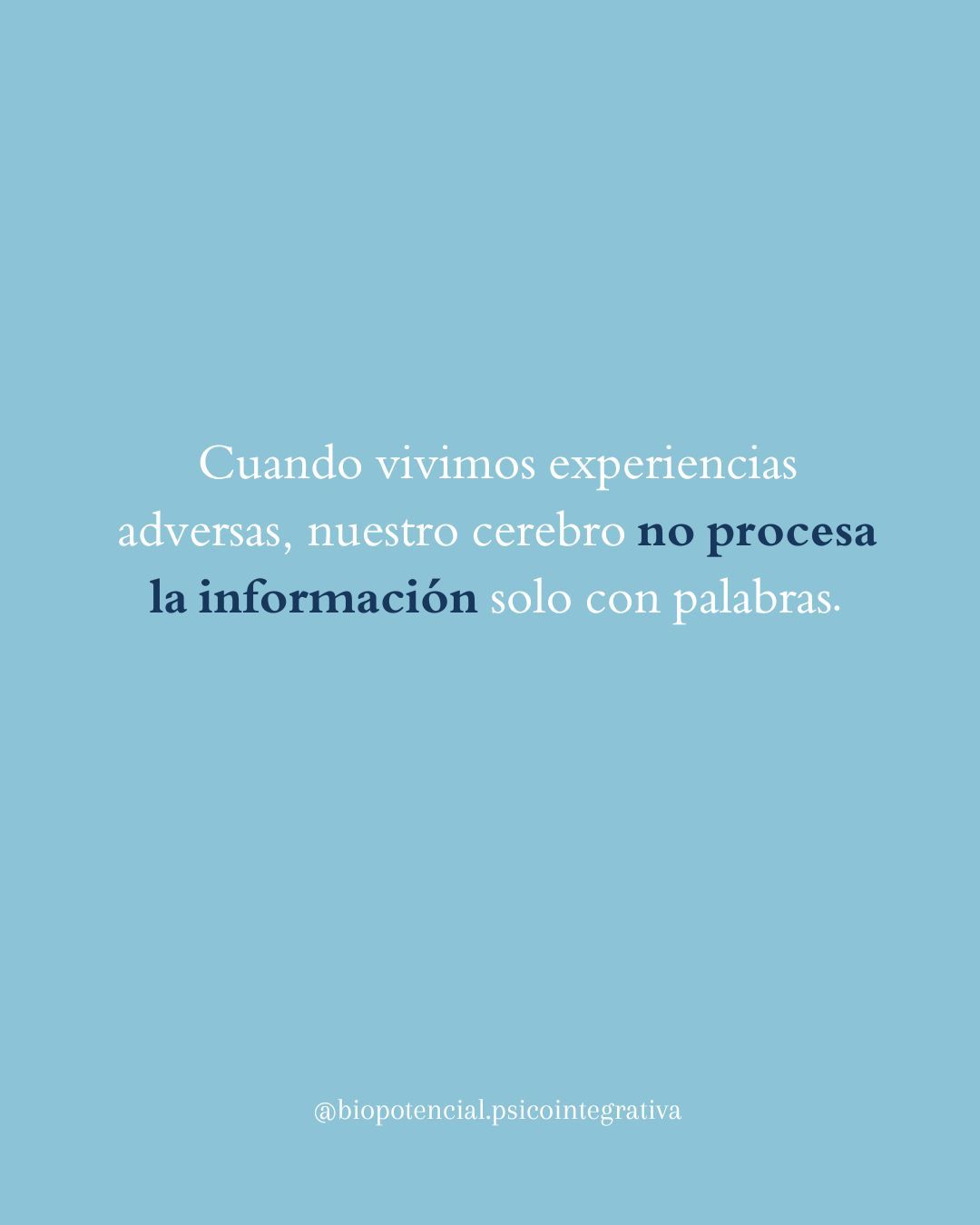 Natalia Ortega Ayllón-19