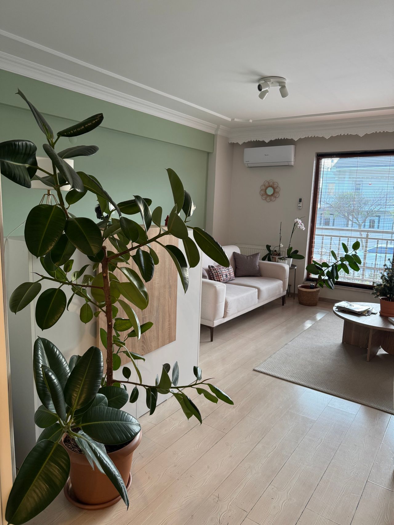 Sibel Fırat Gürsoy-4