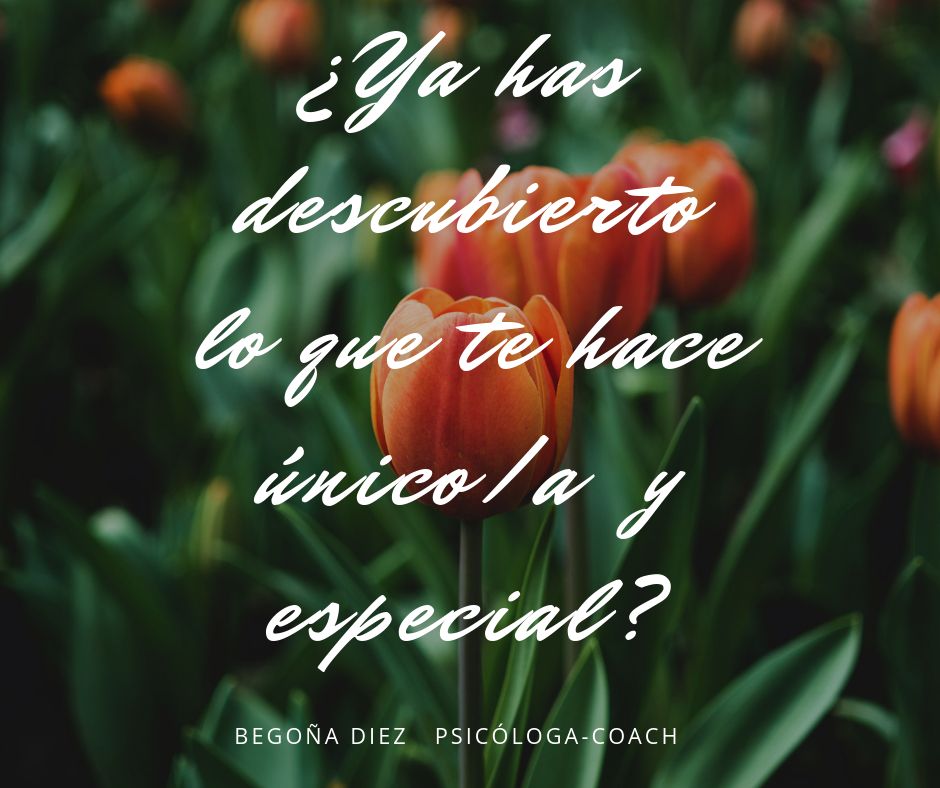 Begoña Diez Nieto-3