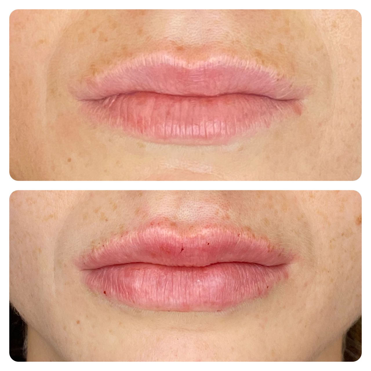 Elisabetta Fabiani-54