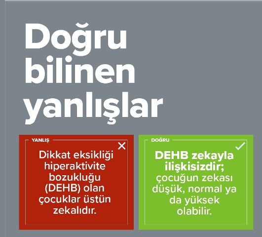 Canan Kuygun Karcı-22