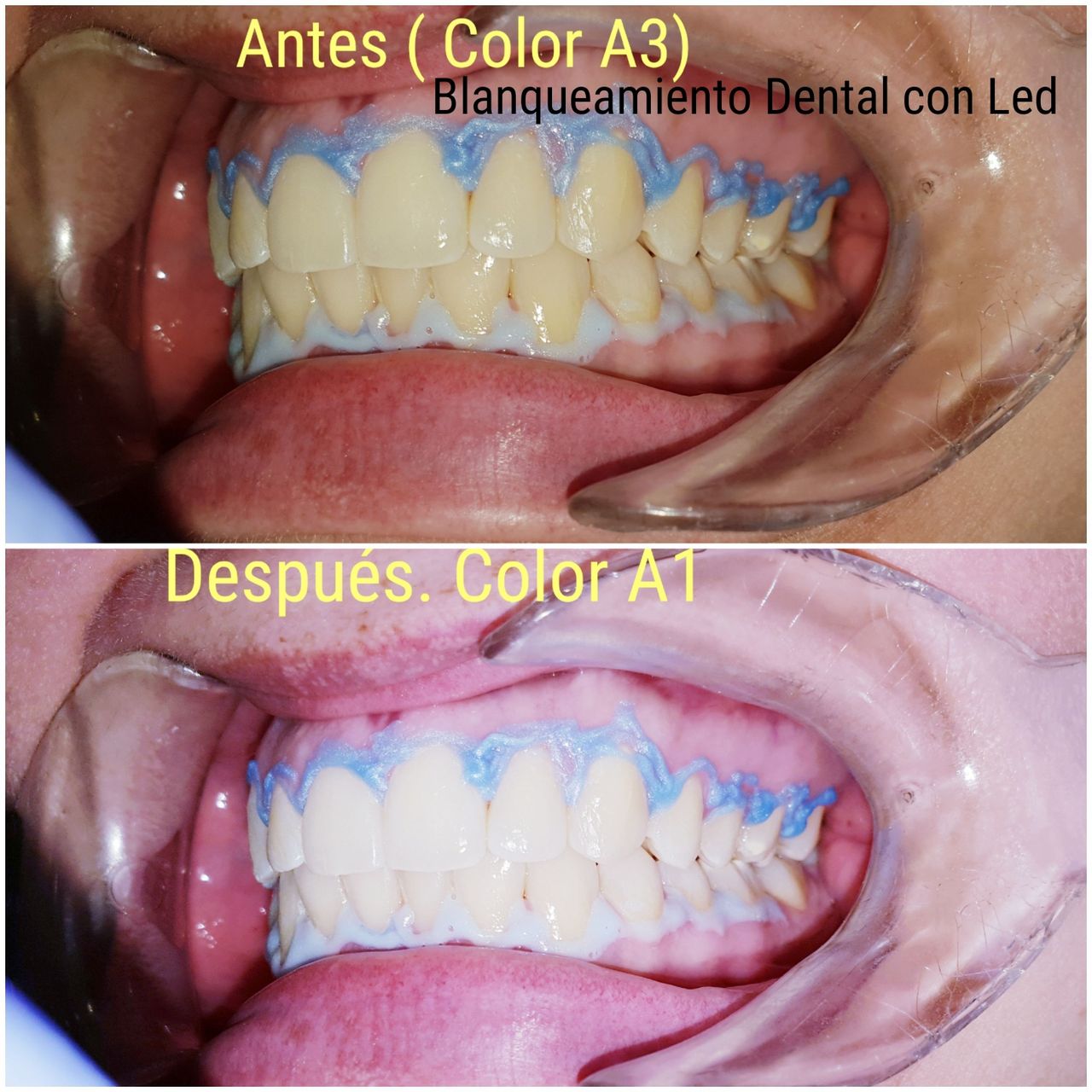 Arabel Fis Rodríguez-26