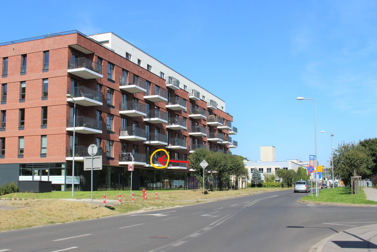 Katarzyna Lubaszewska-2