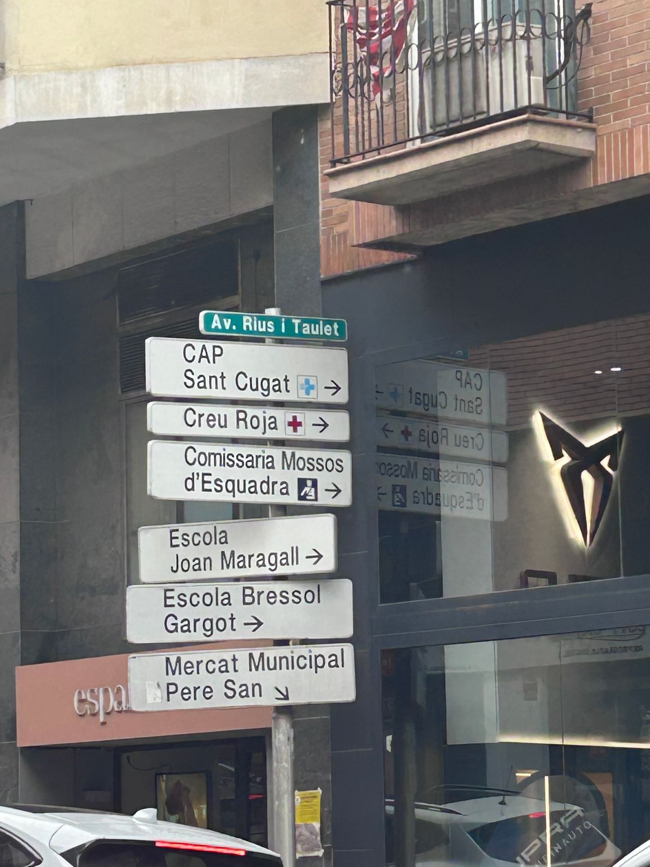 Silvia Cruz Vizcaino-3