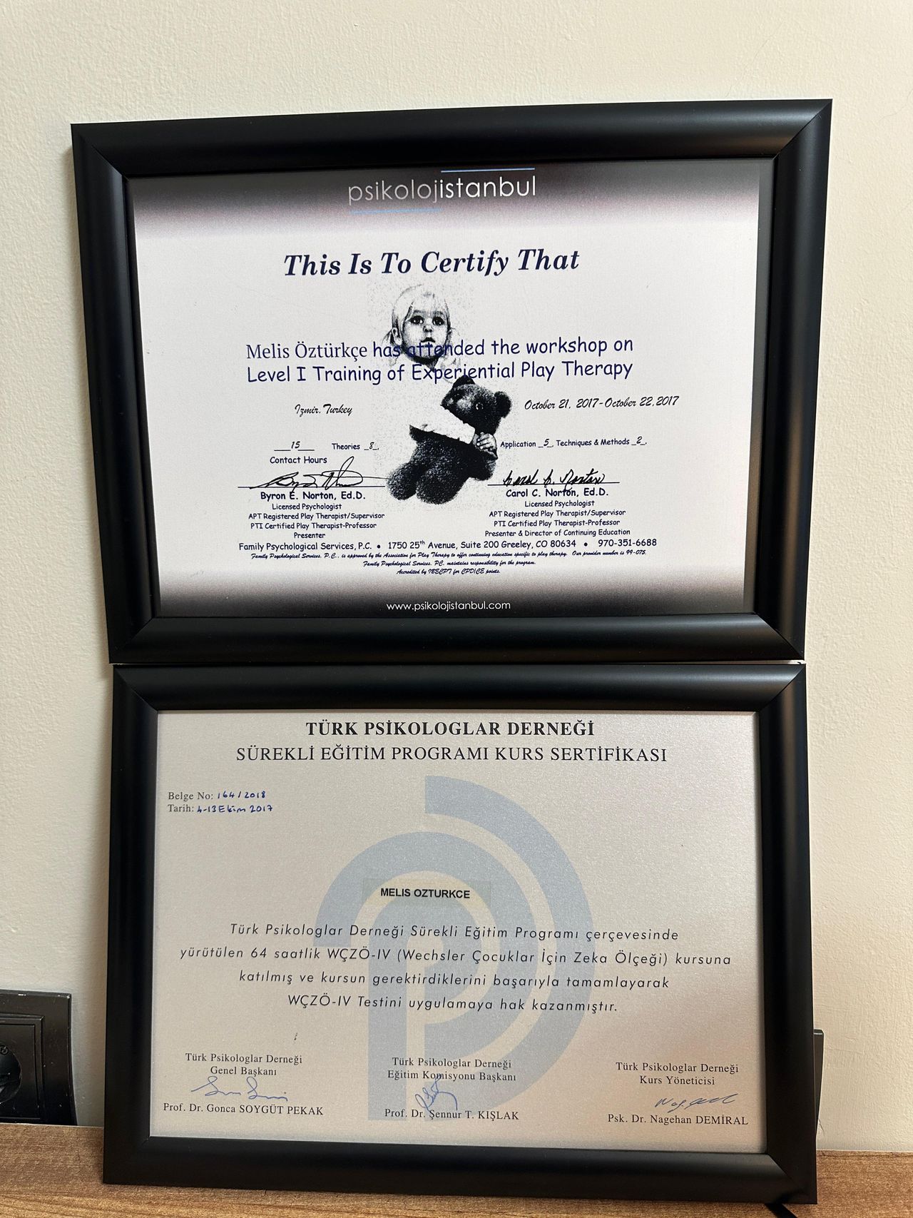 Melis Öztürkçe Yıldızhan-2