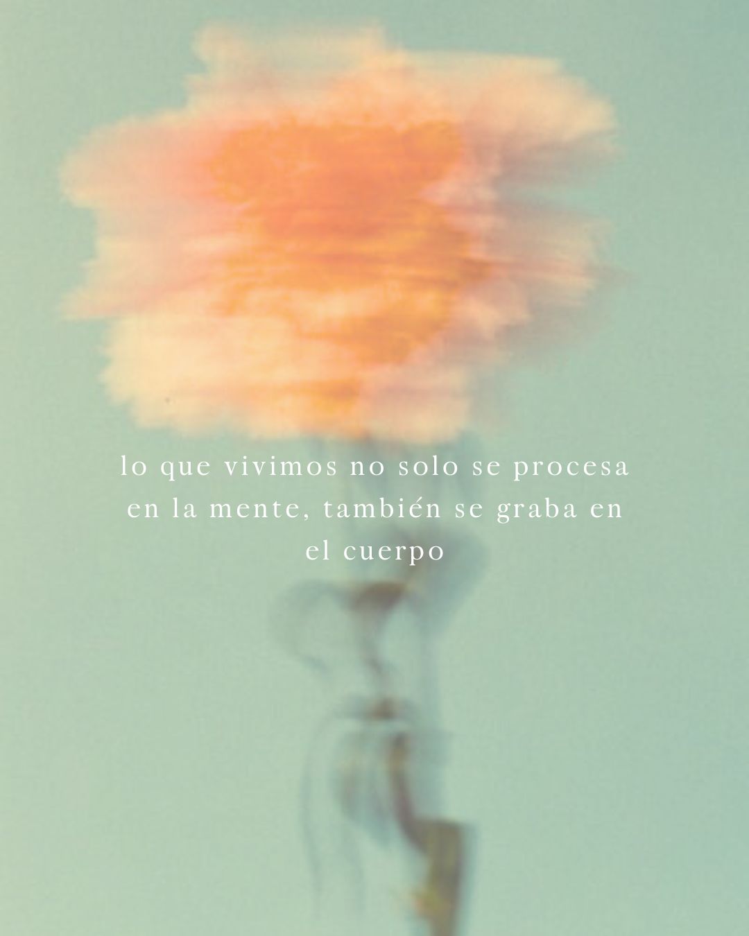 Sofia Mendaña García-2