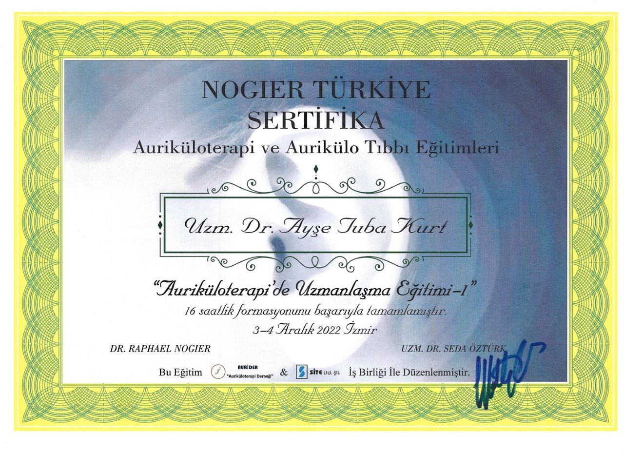Ayşe Tuba Kurt-2