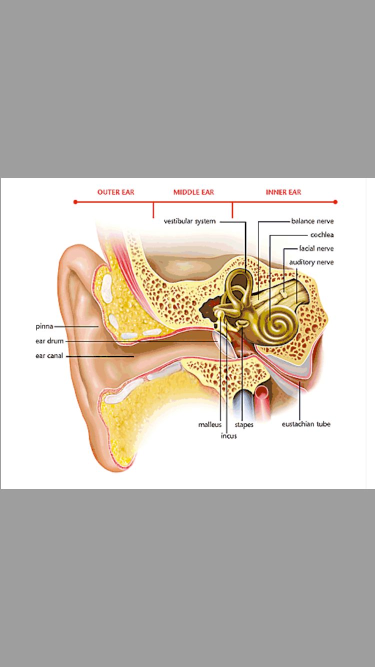 Francesca Yoshie Russo-1