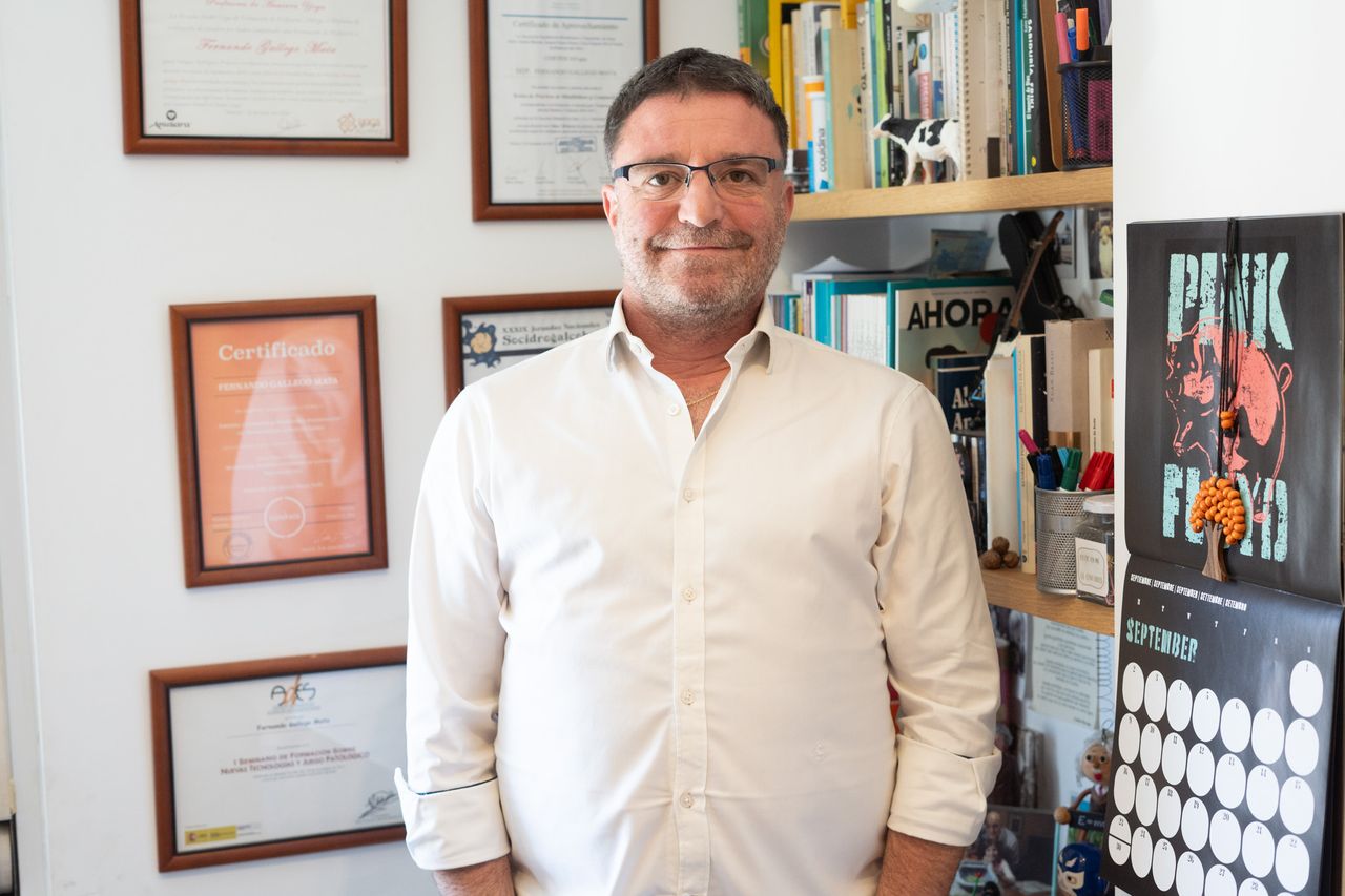 Fernando Gallego Mata-2