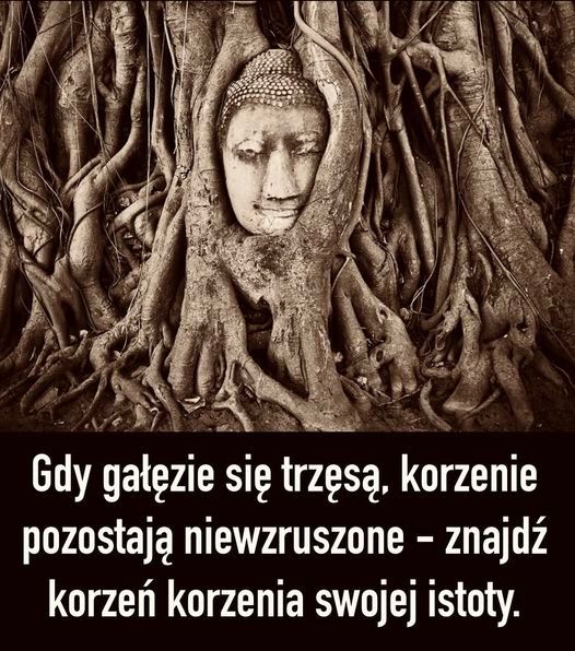 Kamil Andrzej Mross-21