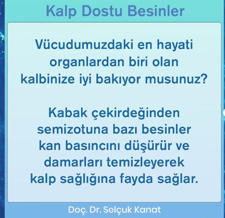 Selçuk Kanat-6