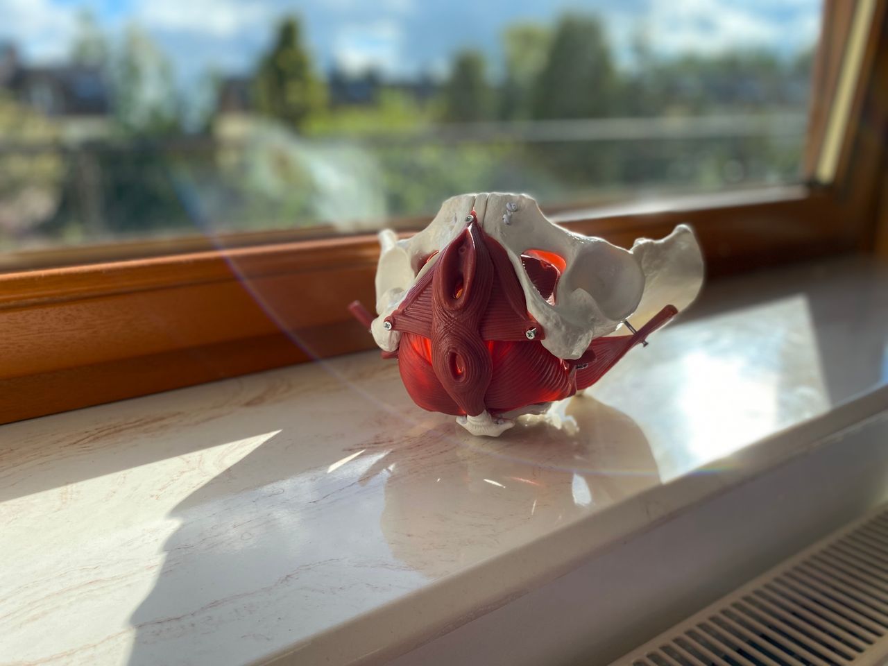 Agnieszka Łukawska-3