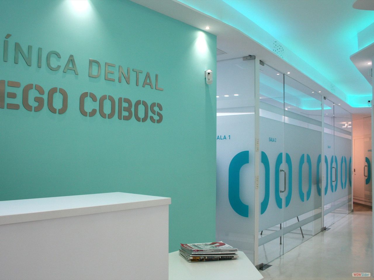 Diego Cobos Ropero-2