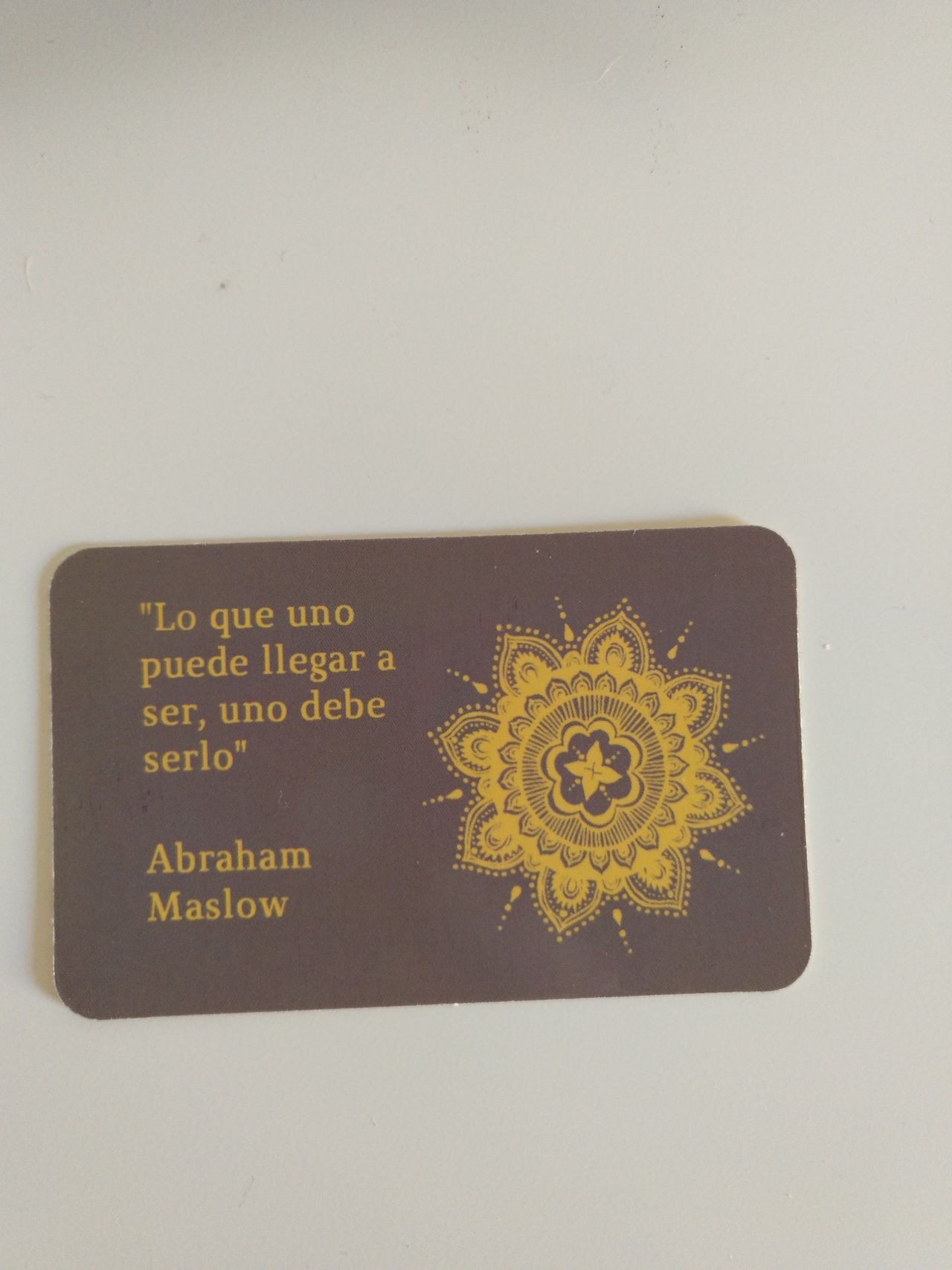 Chelo Gandia Valdés-20