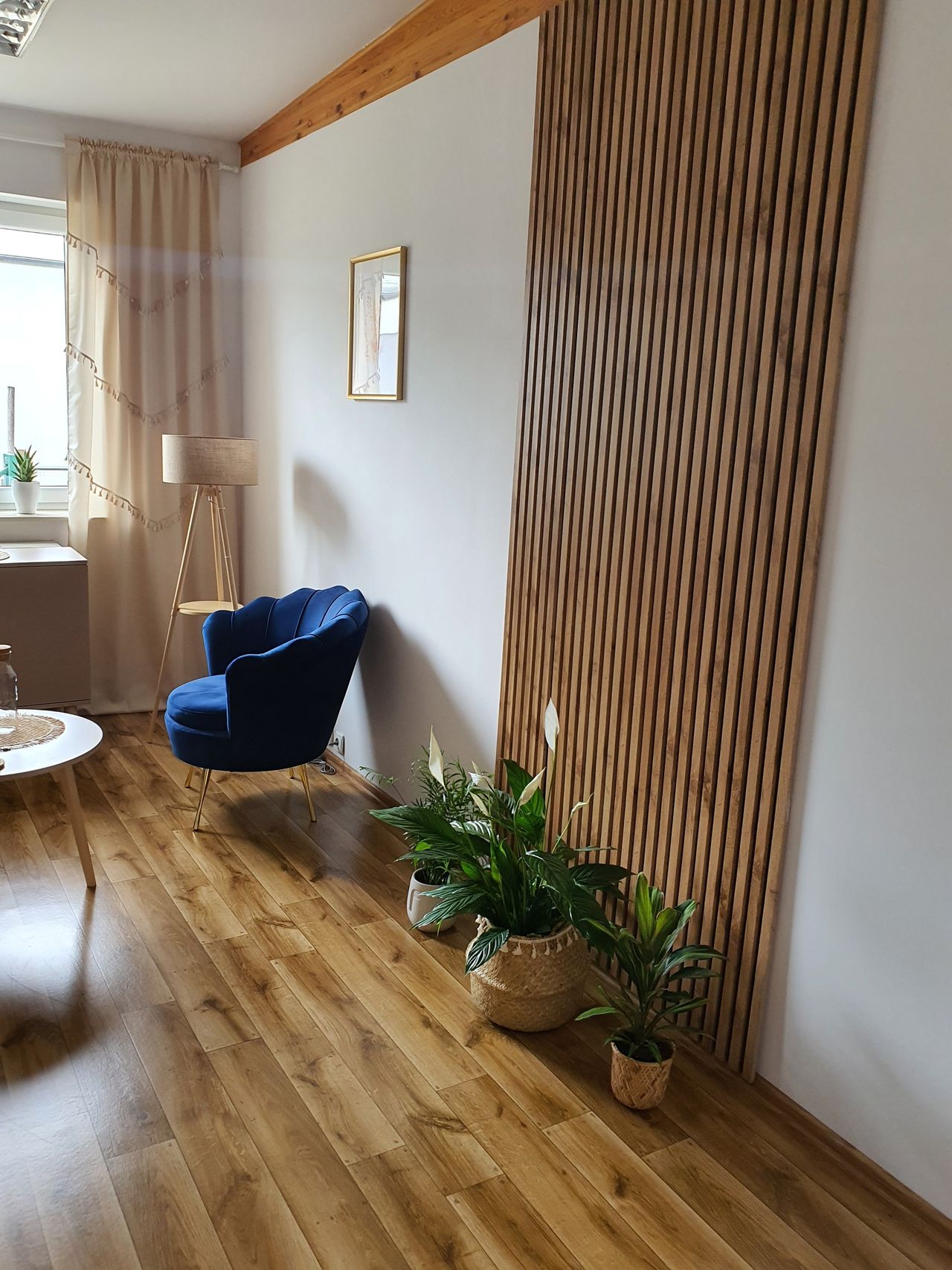 Aleksandra Piasecka-4