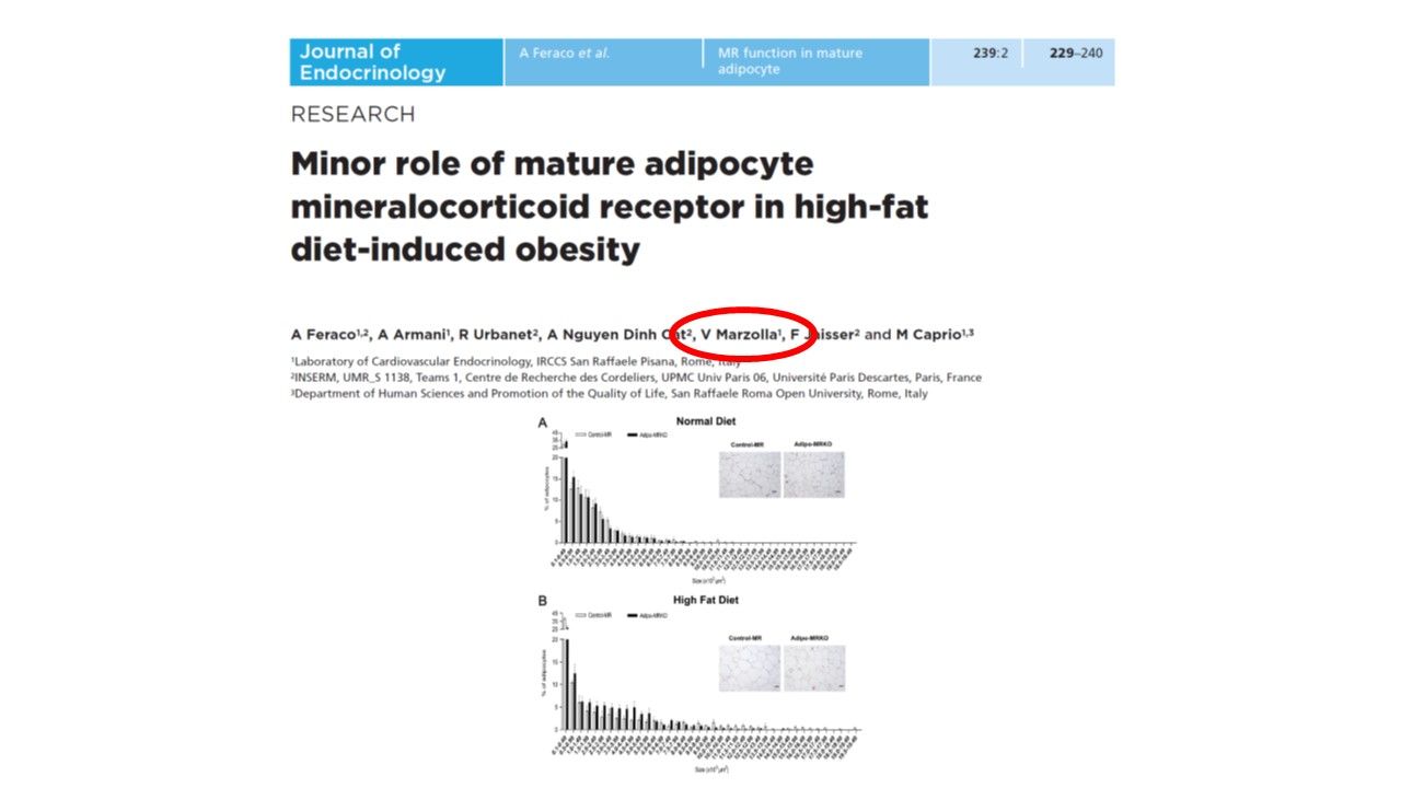 Vincenzo Marzolla-33