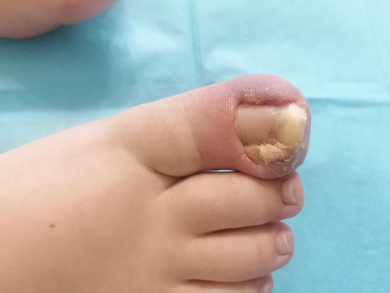 Kassandra Nicolosi-329