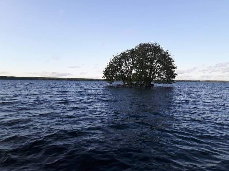 Elżbieta Rybij-Fąferko-2