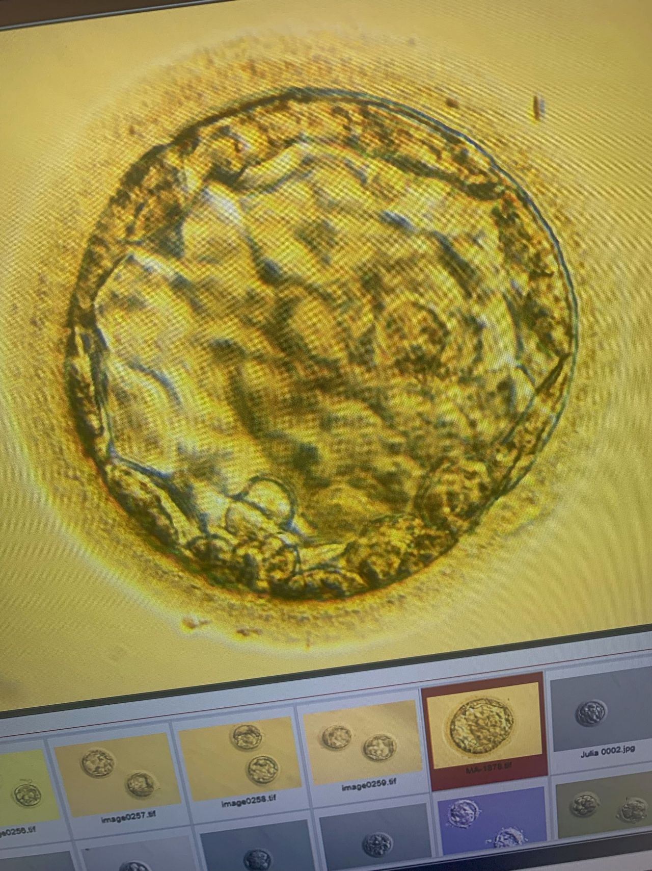 Ana Gaitero Martínez-5