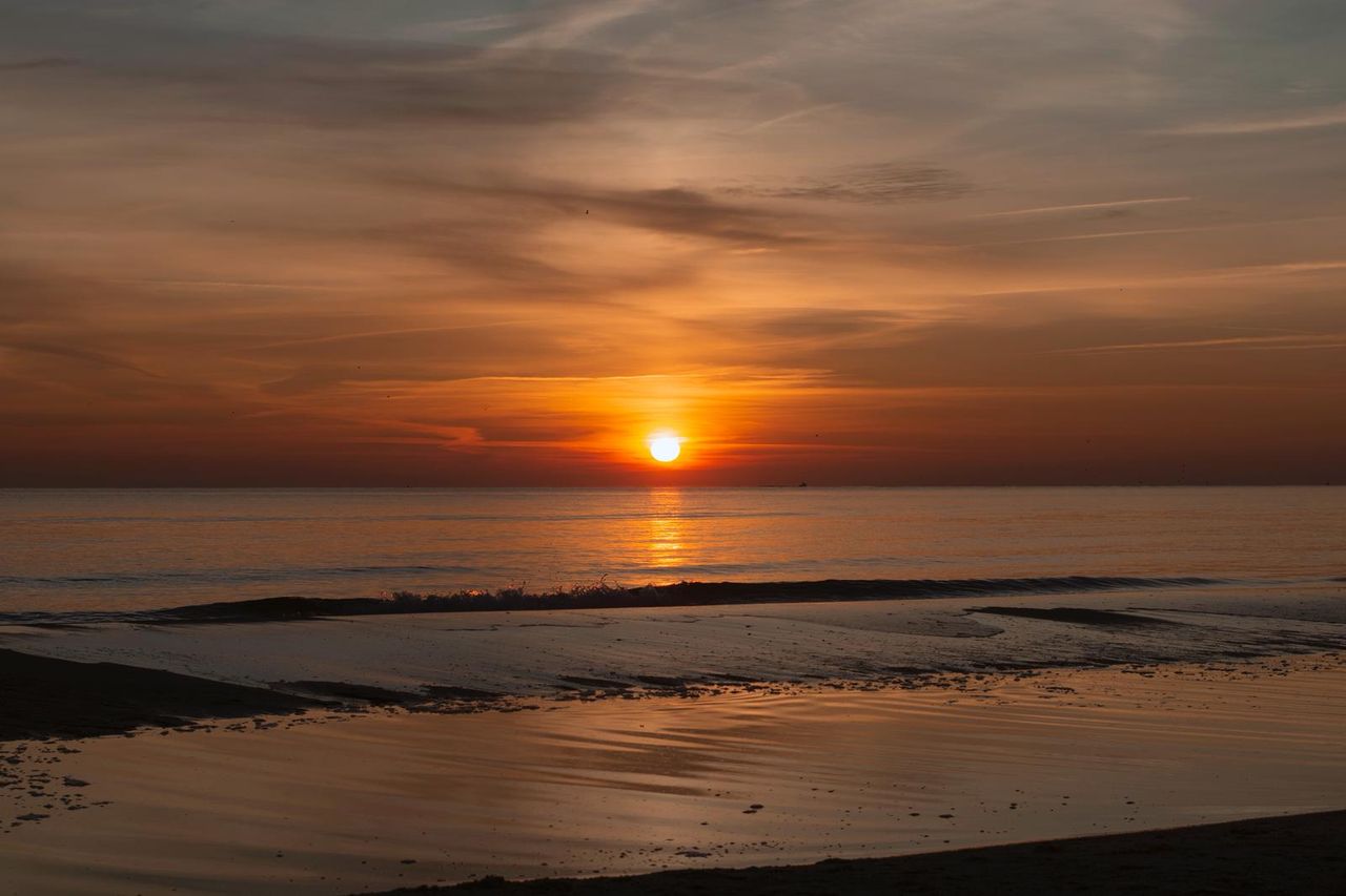 Angela Roig Hidalgo-0