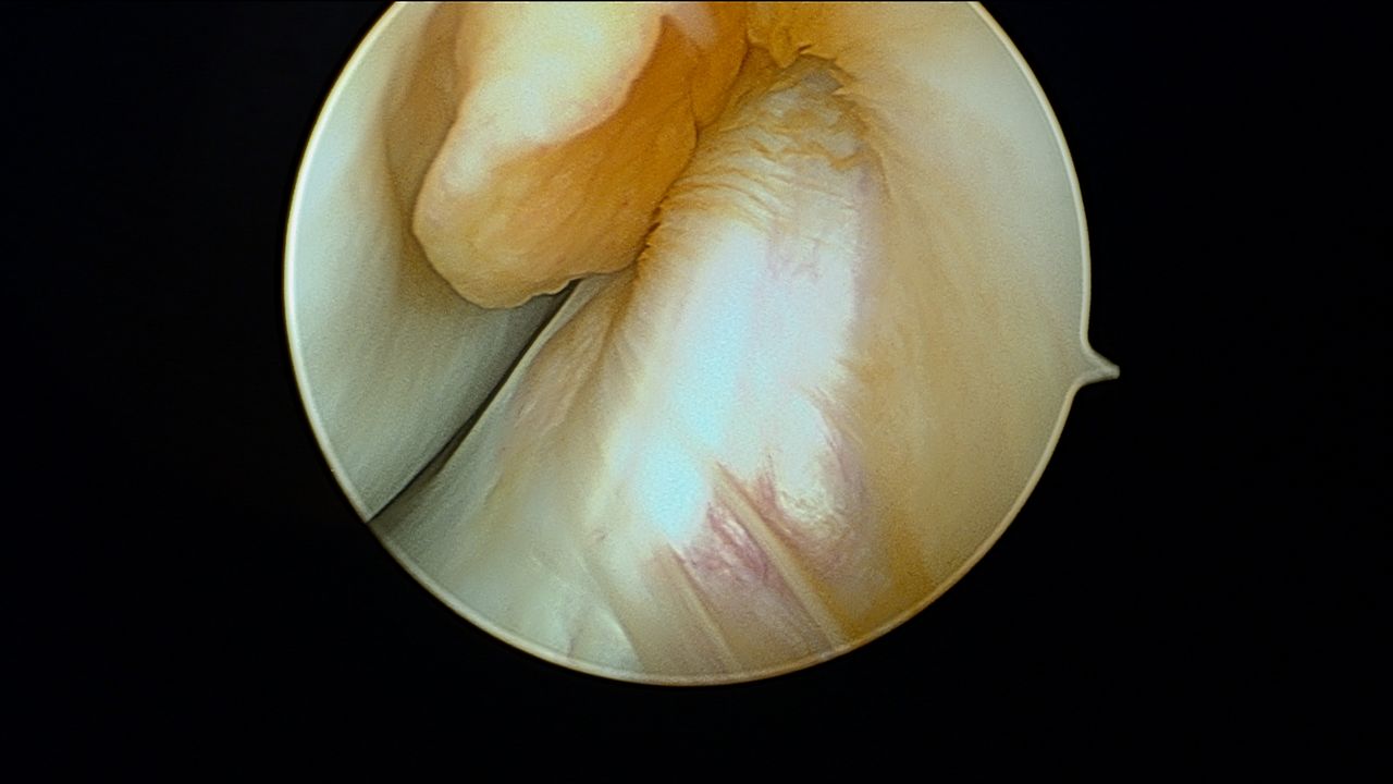 Eulogio Benito Martín-15