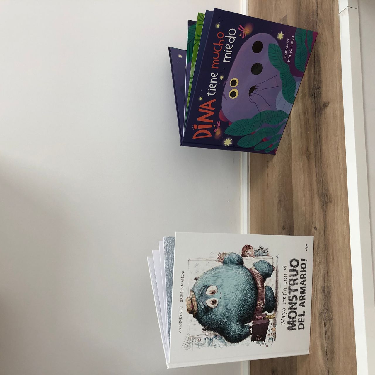 Virginia Montes De La Nava-11