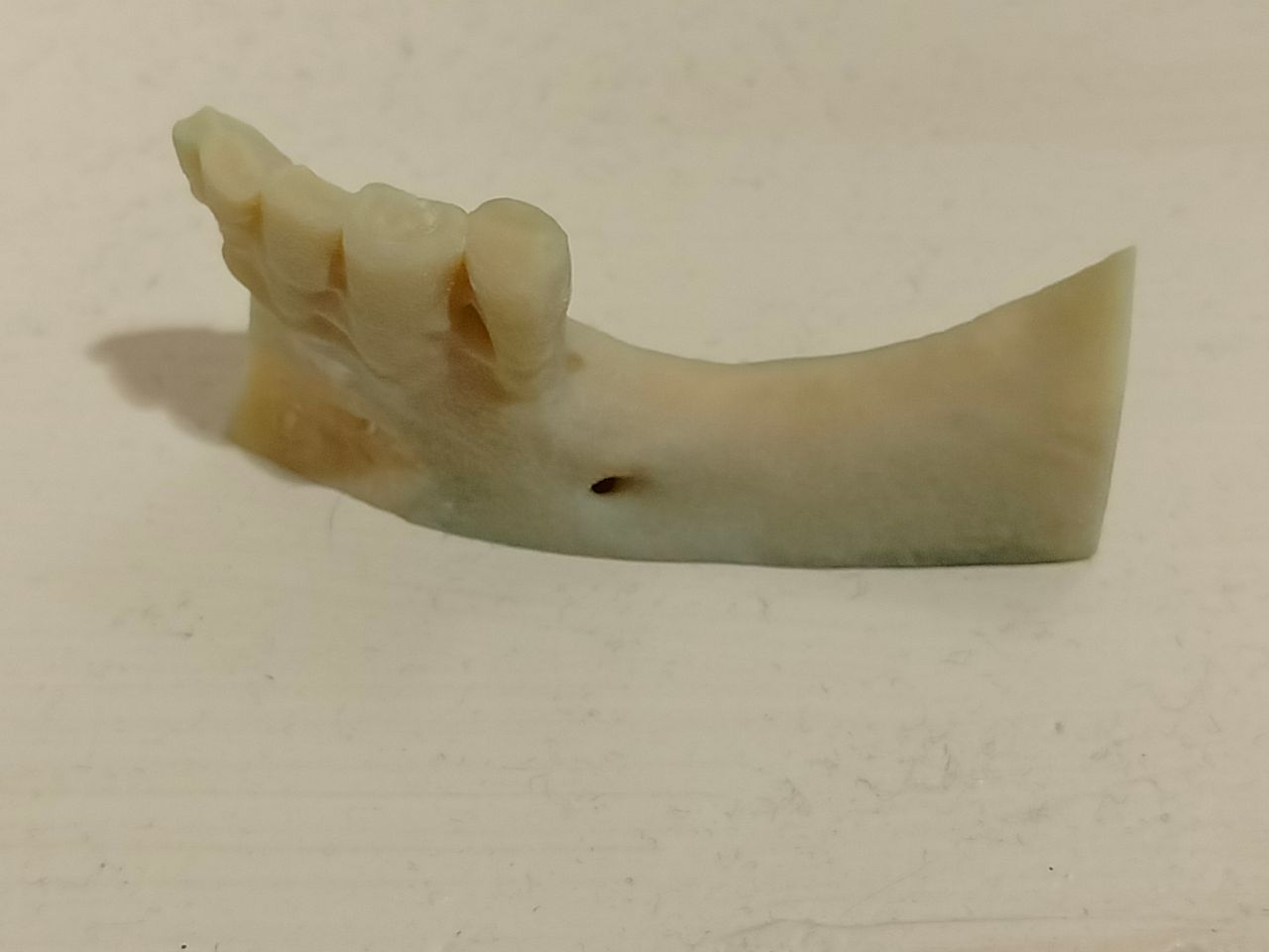 Marco Della Rovere-5