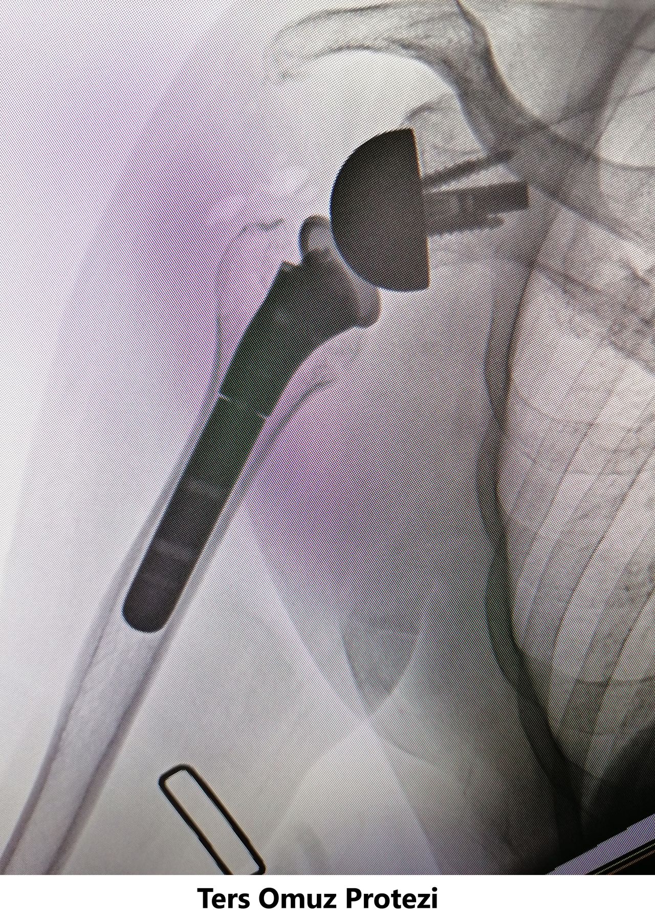 Javid M. Azarabadı-9