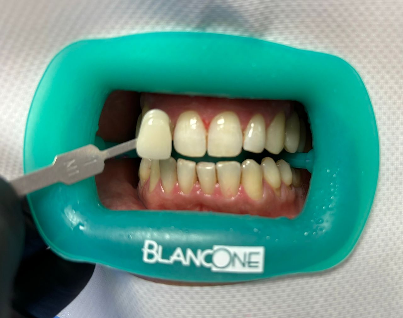 Francesca Muggiano-28