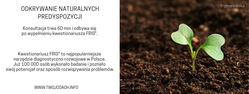 Dorota Trzmielewska-8