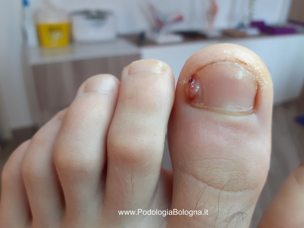 Lorenzo Fasanelli Menestrina-11